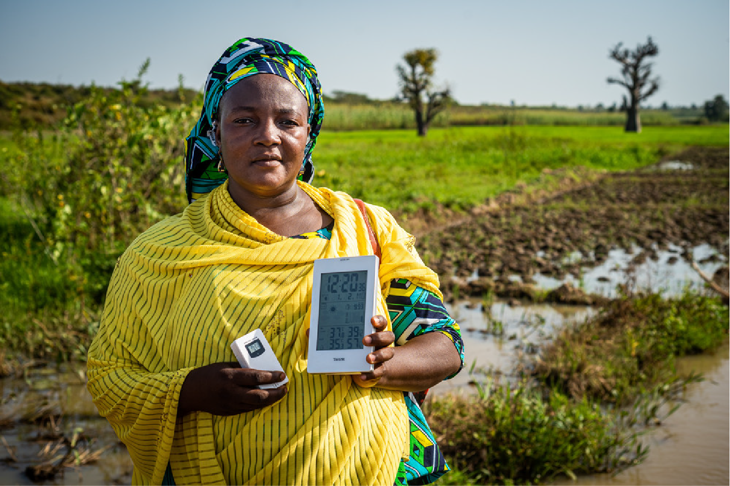 The Flexibility of TechChange Courses- An Update from IFAD Year Three