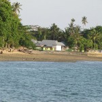 Image Courtesy of the Author