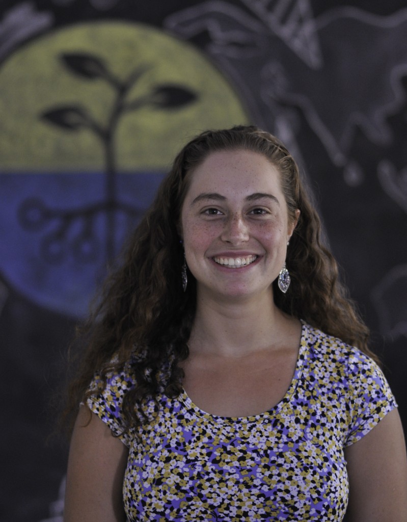 Summer Fellow Spotlight: Sarah Moss-Horwitz - TechChange